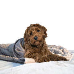 Weighted Comfort Pet Blanket 24 x 32", 3 lbs.