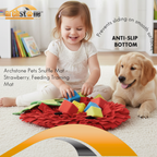 Archstone Pets - Strawberry Snuffle Mat
