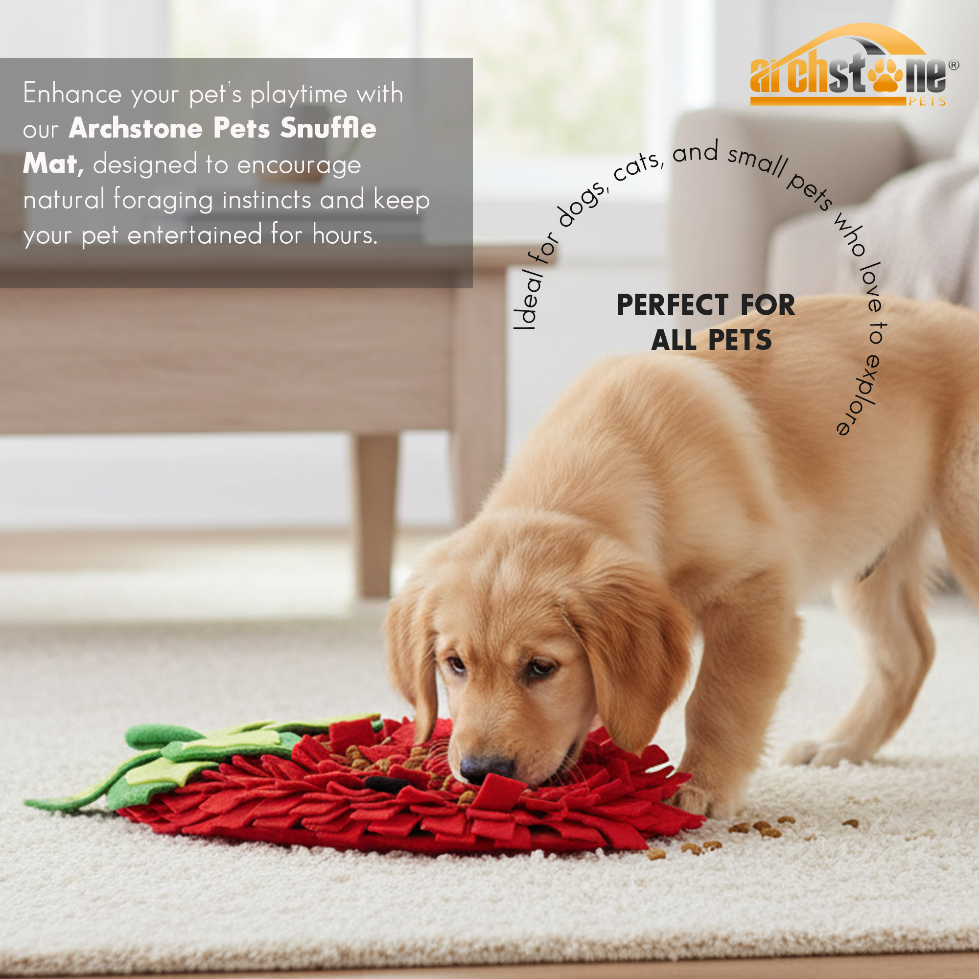 Archstone Pets - Strawberry Snuffle Mat