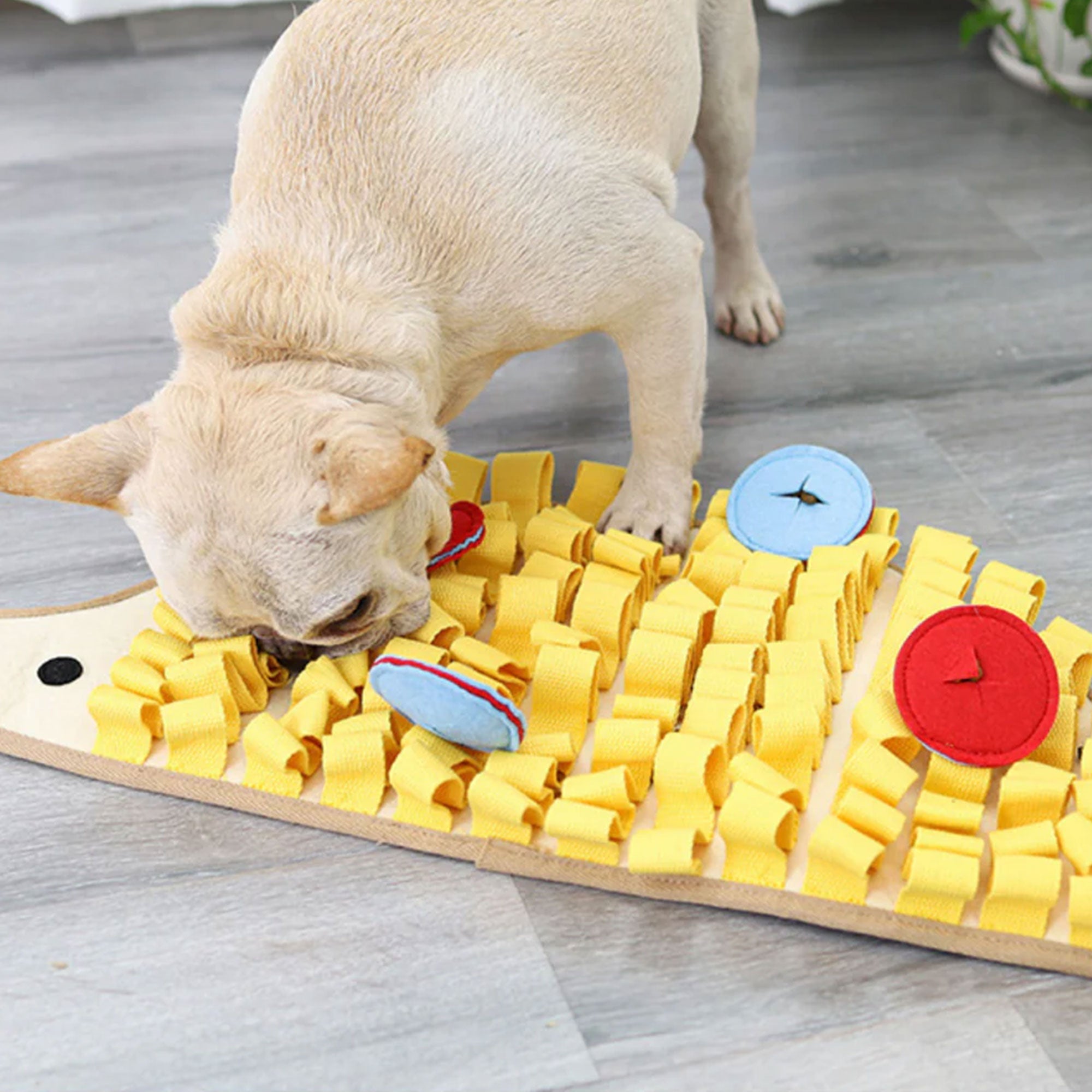 snuffle mat