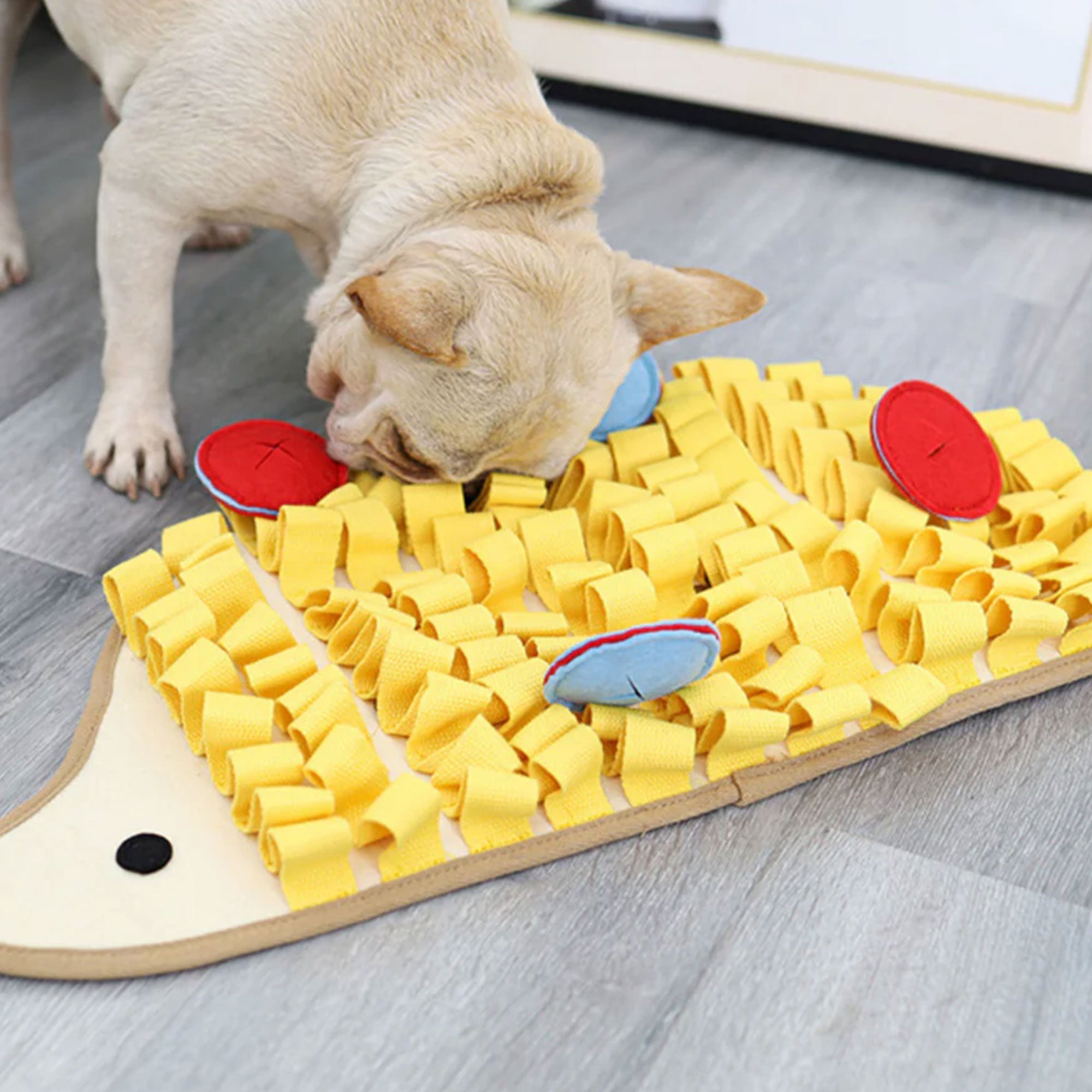 snuffle mat on dog
