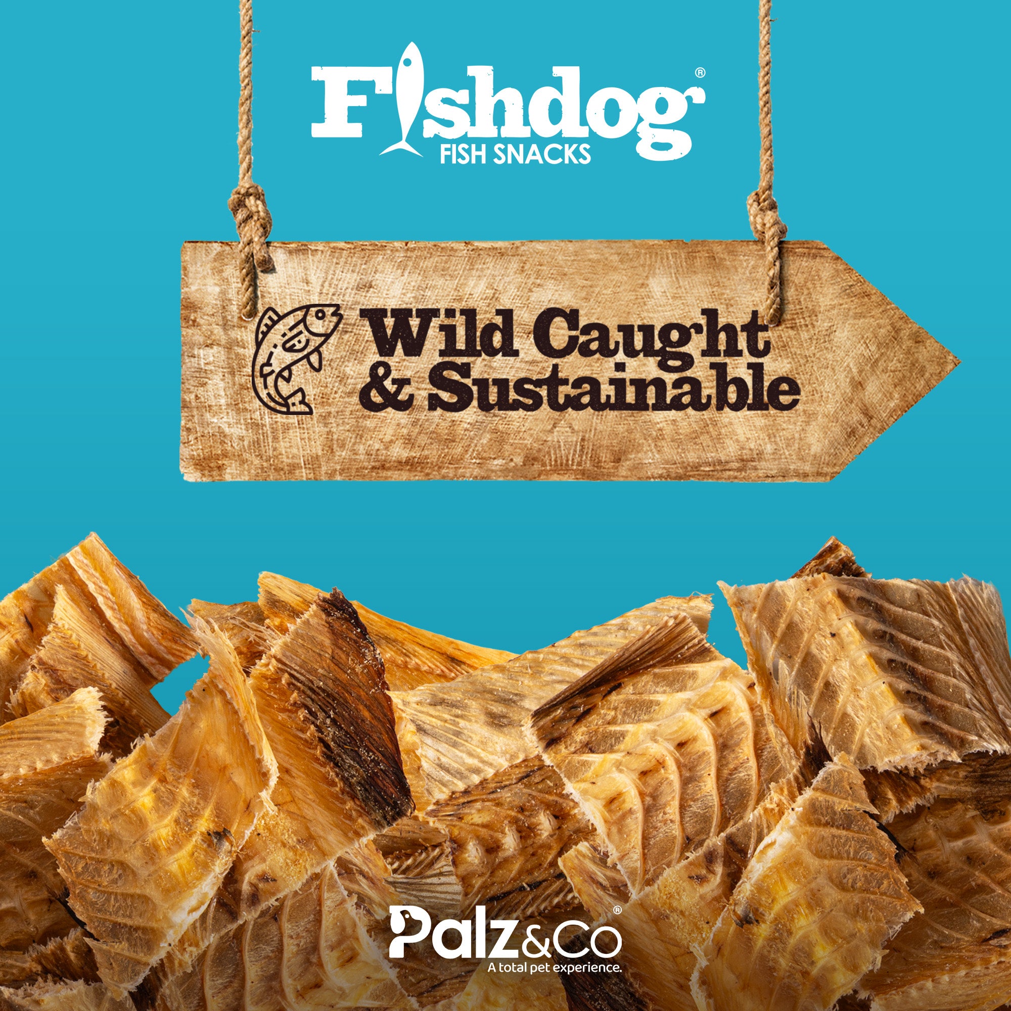 Fishdog Fish Snacks Dog Treats - 2.5 oz