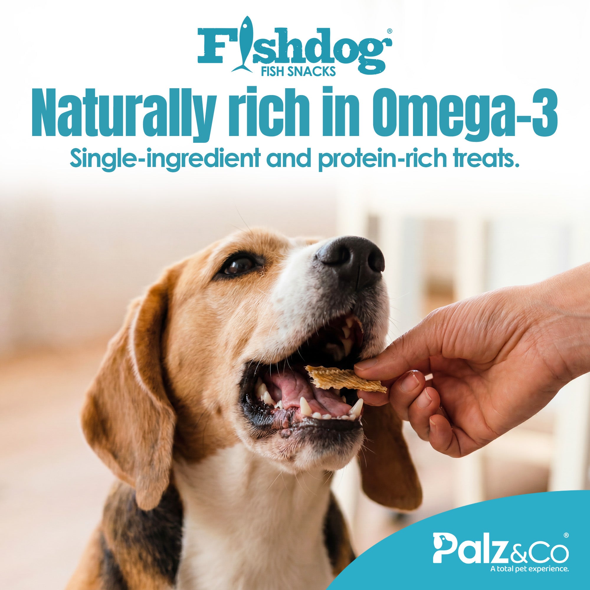 Fishdog Fish Snacks Dog Treats - 2.5 oz