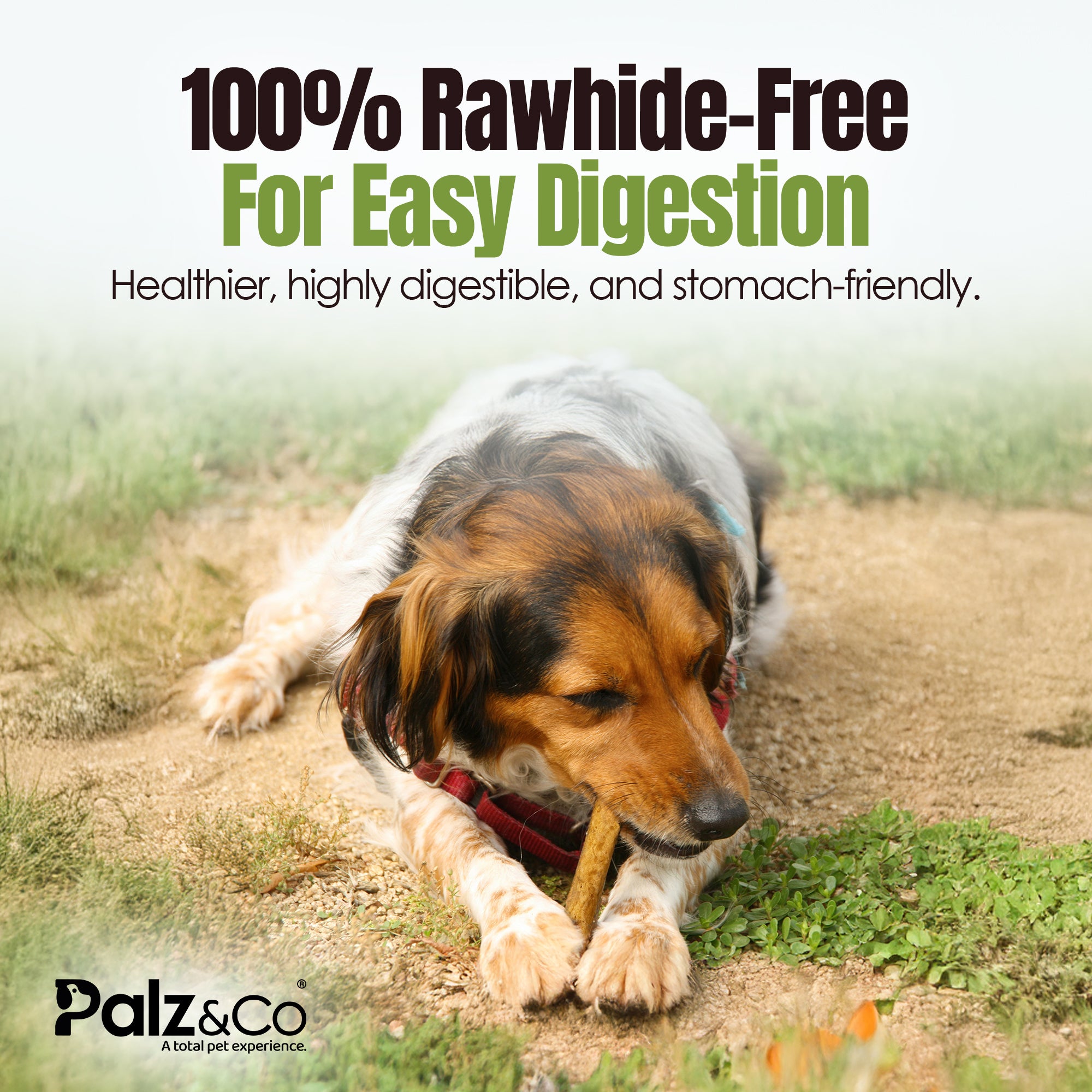 Moodog Easy-Chew Corium Collagen Dog Treat 7" & 10" (Beef Flavor Roll)