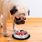 Stainless Steel Belly Pet Bowls, Paw Bone Embossed, No-Skid Base - 16oz to 48oz
