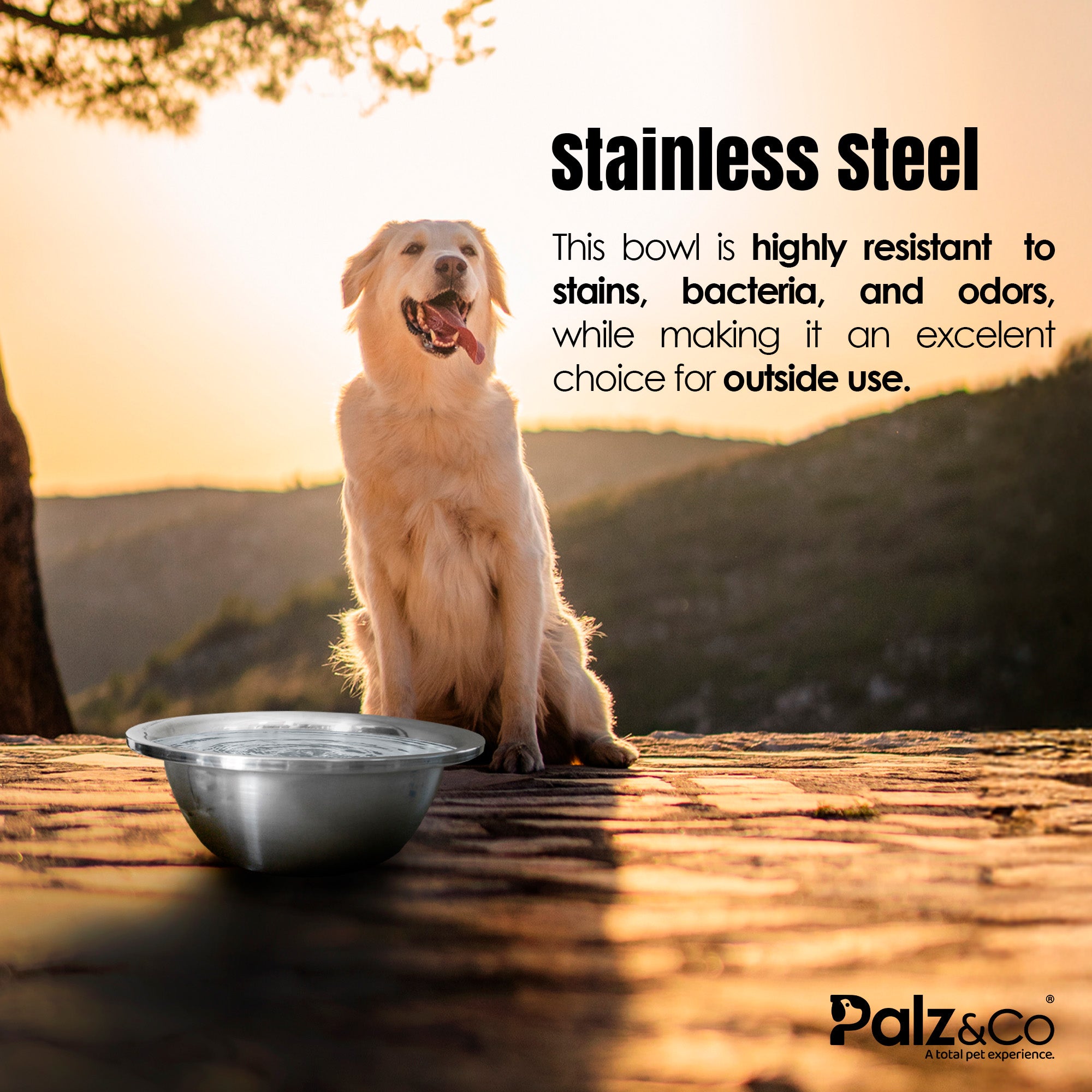 Stainless Steel Pet Bowl, Giant - 384oz