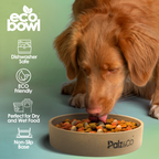 EcoBowl Slow Feeder Dog Bowls - 28oz & 48oz