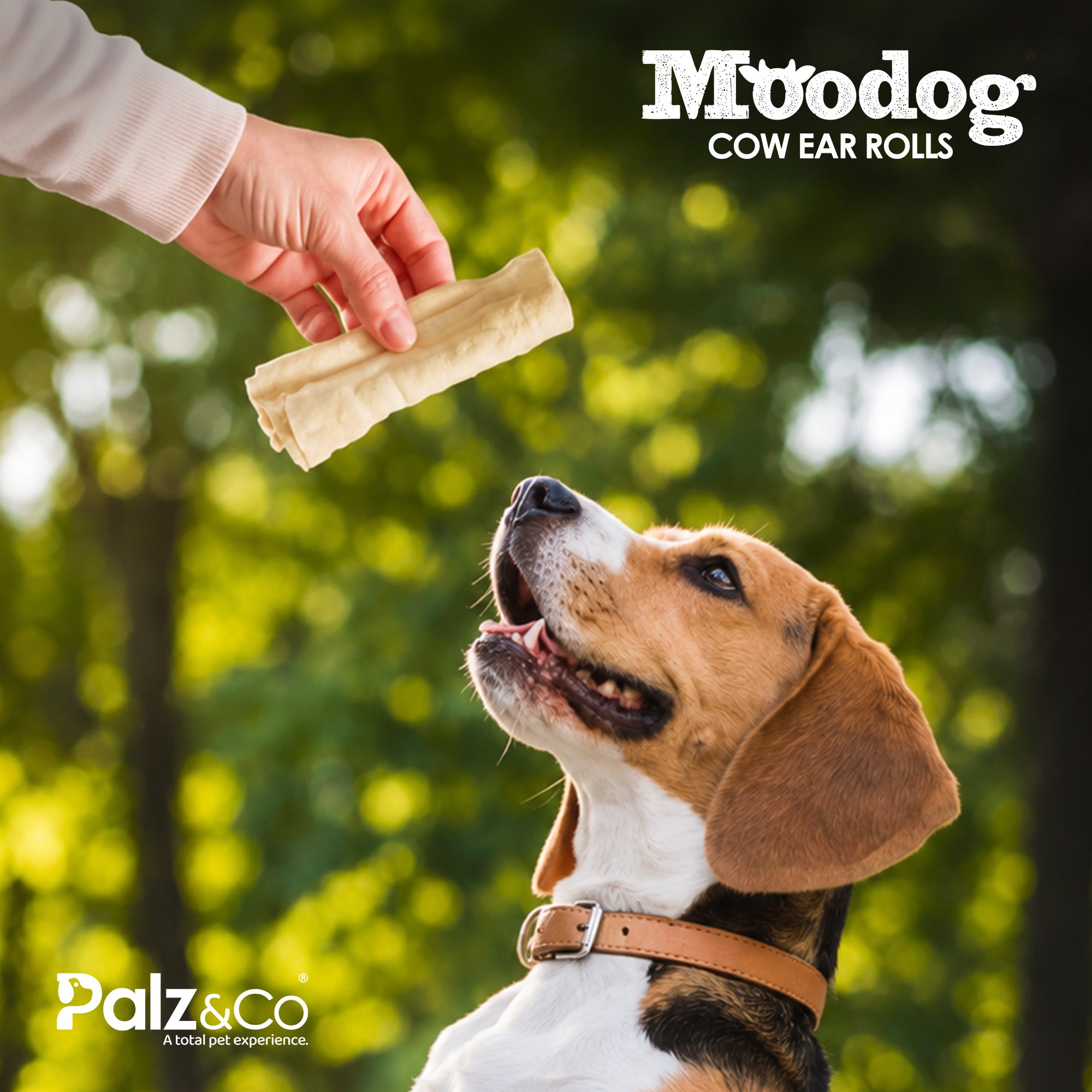Moodog Beef Cow Ear Rolls Dog Chews - 3 Pack Secondary image