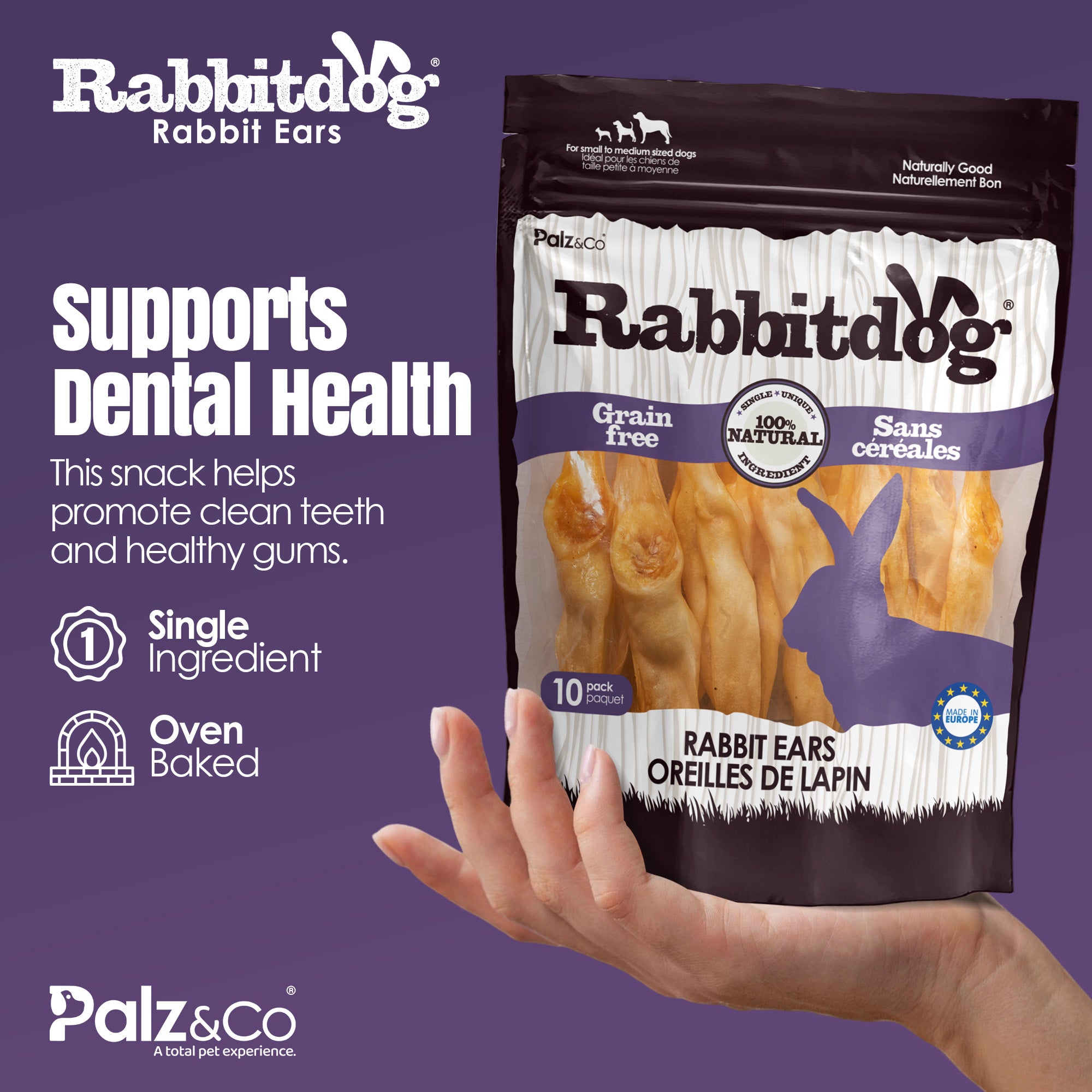 Rabbitdog Rabbit Ears (Without Fur) - Pack of 10, 15, & 25