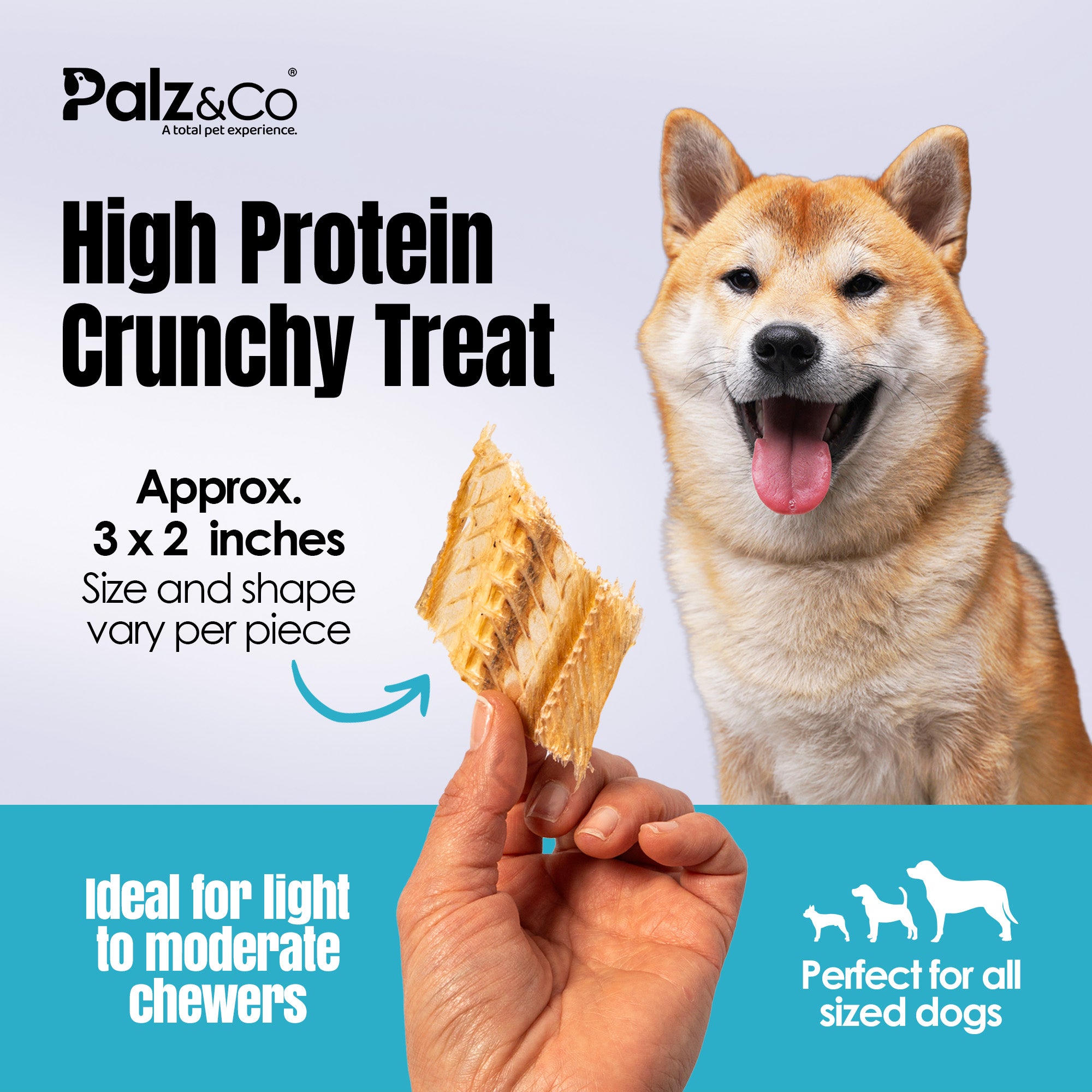 Fishdog Fish Snacks Dog Treats - 2.5 oz