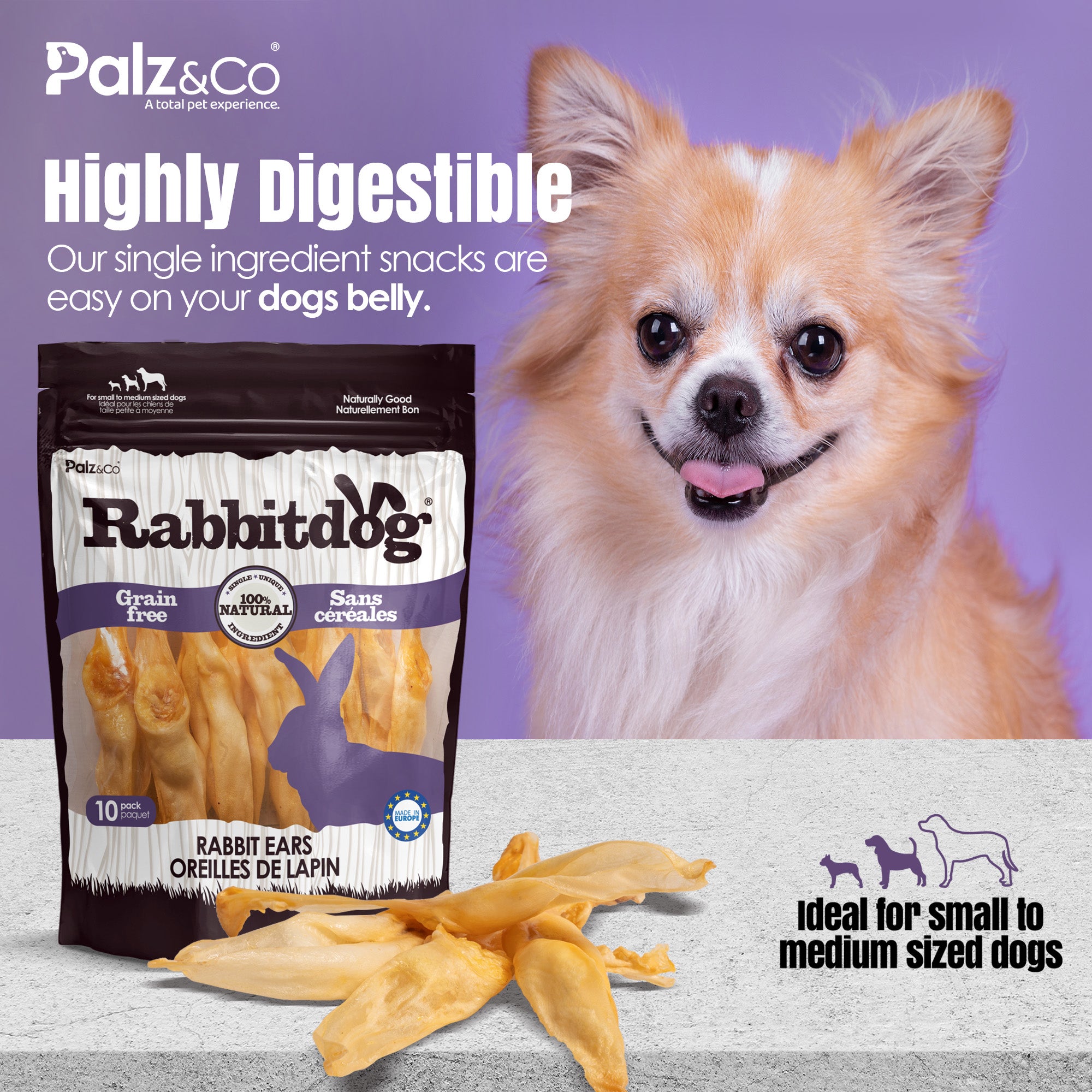Rabbitdog Rabbit Ears (Without Fur) - Pack of 10, 15, & 25