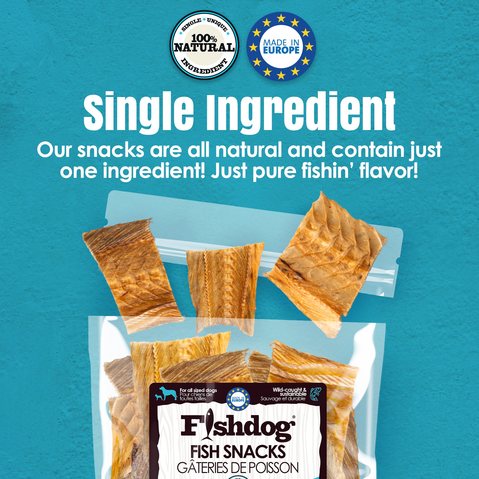 Fishdog Fish Snacks Dog Treats - 2.5 oz