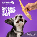 Rabbitdog Rabbit Ears (Without Fur) - Pack of 10, 15, & 25