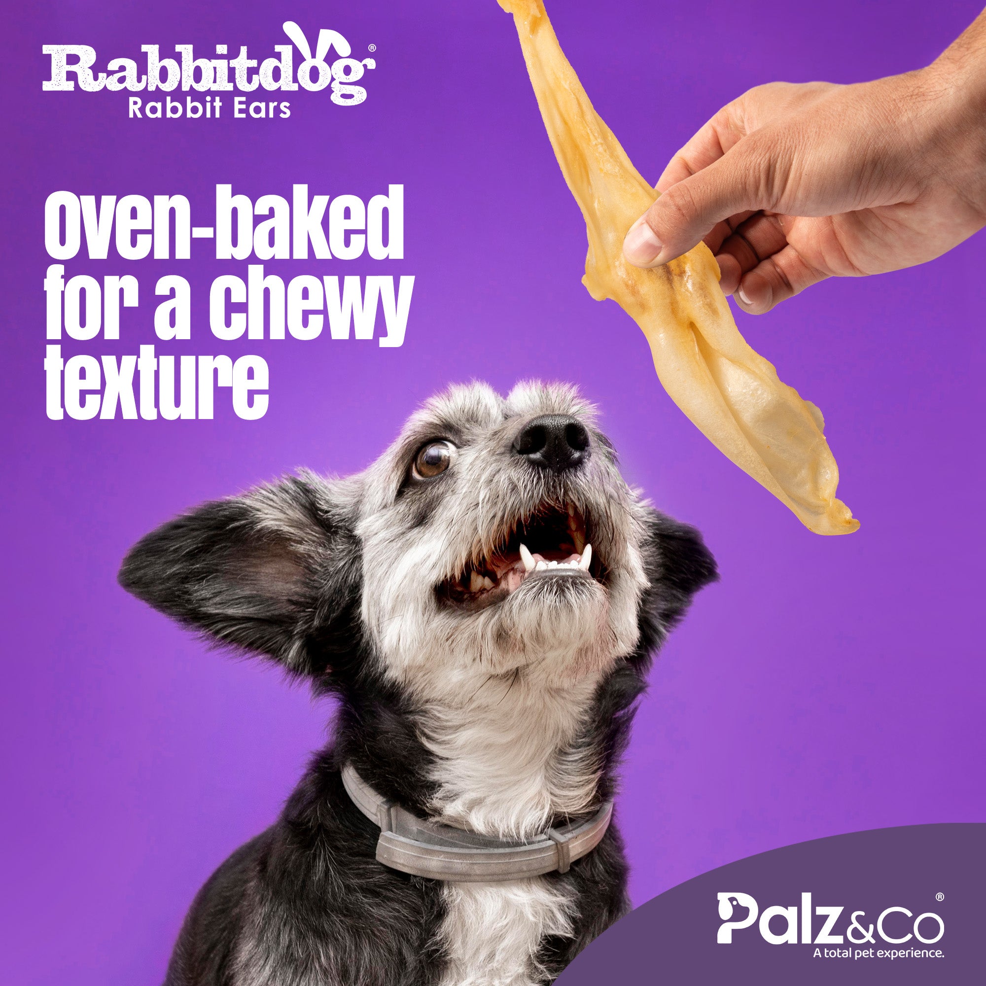 Rabbitdog Rabbit Ears (Without Fur) - Pack of 10, 15, & 25