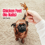 Birddog Chicken Feet (No Nails) - Pack of 60