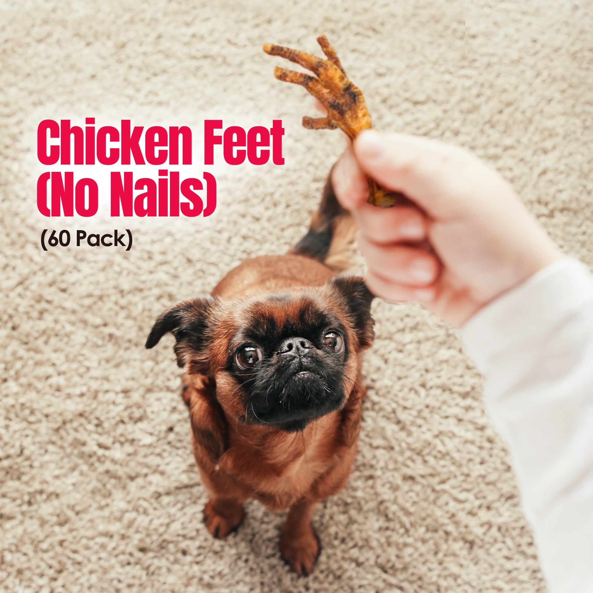 Birddog Chicken Feet (No Nails) - Pack of 60