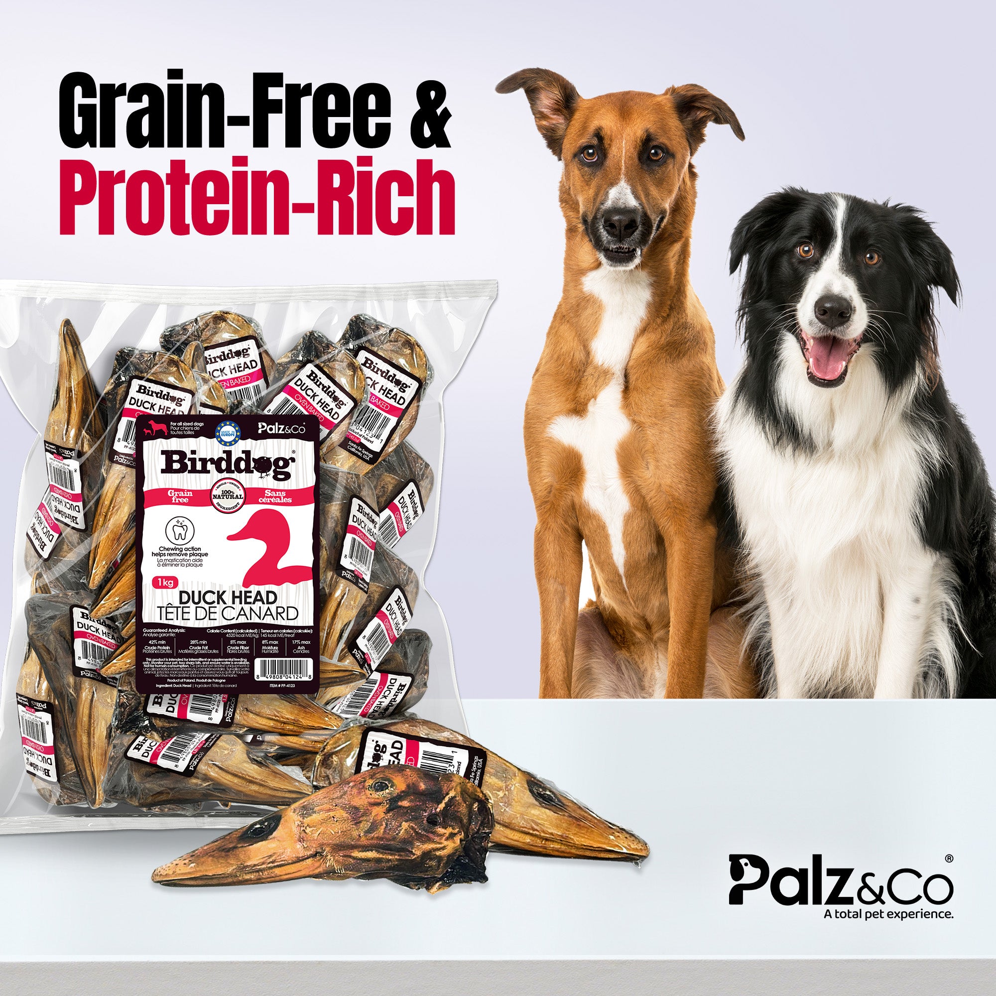 Birddog Duck Head - Pack of 20