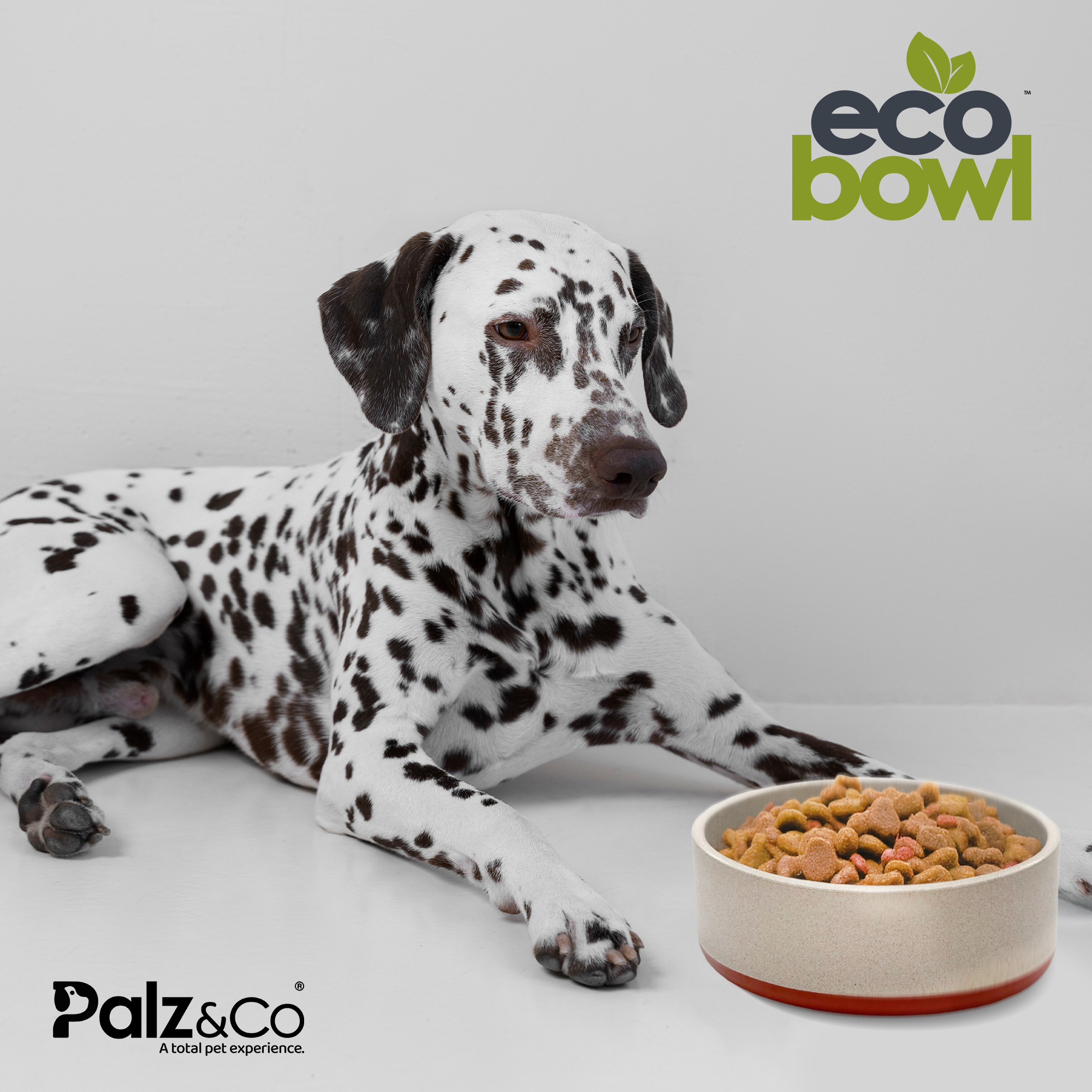 EcoBowls with Lid Secondary image