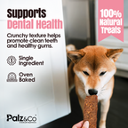 Hogdog Pork Jerky Chews - Pack of 10