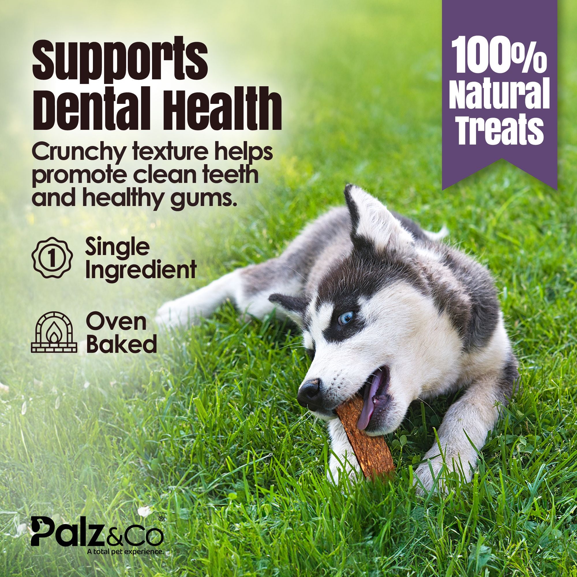 Rabbitdog Rabbit Jerky Chews - Pack of 10 Secondary image