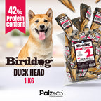 Birddog Duck Head - Pack of 20