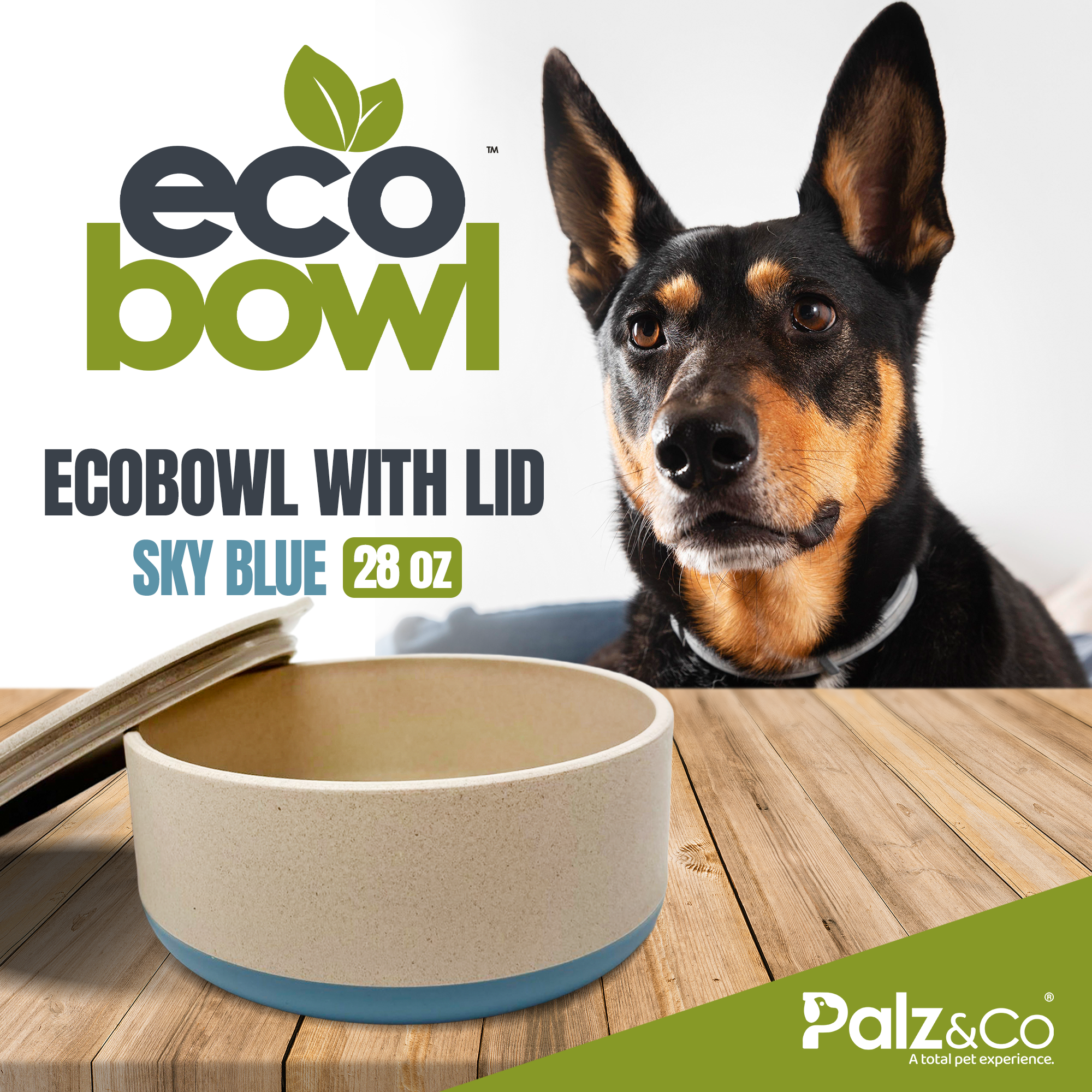 EcoBowls with Lid