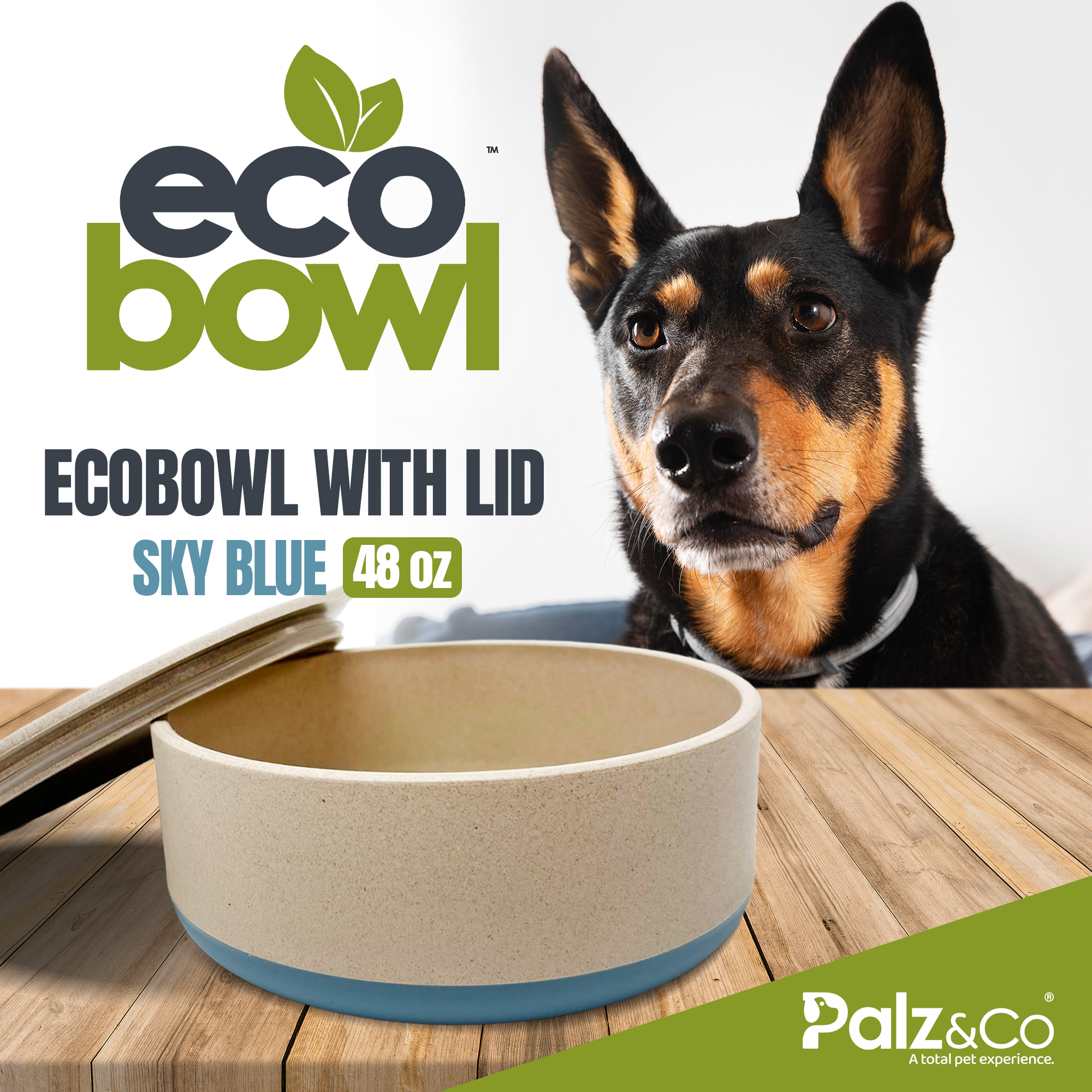 EcoBowls with Lid
