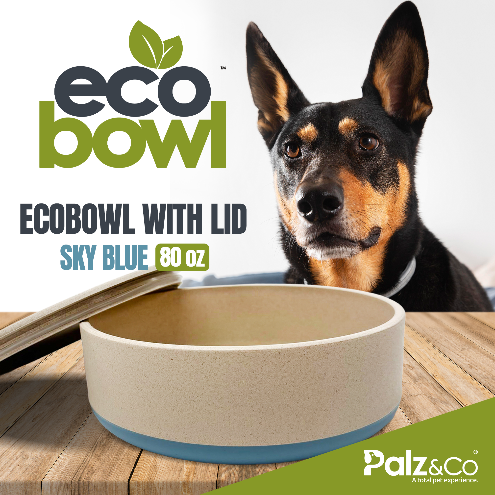 EcoBowls with Lid