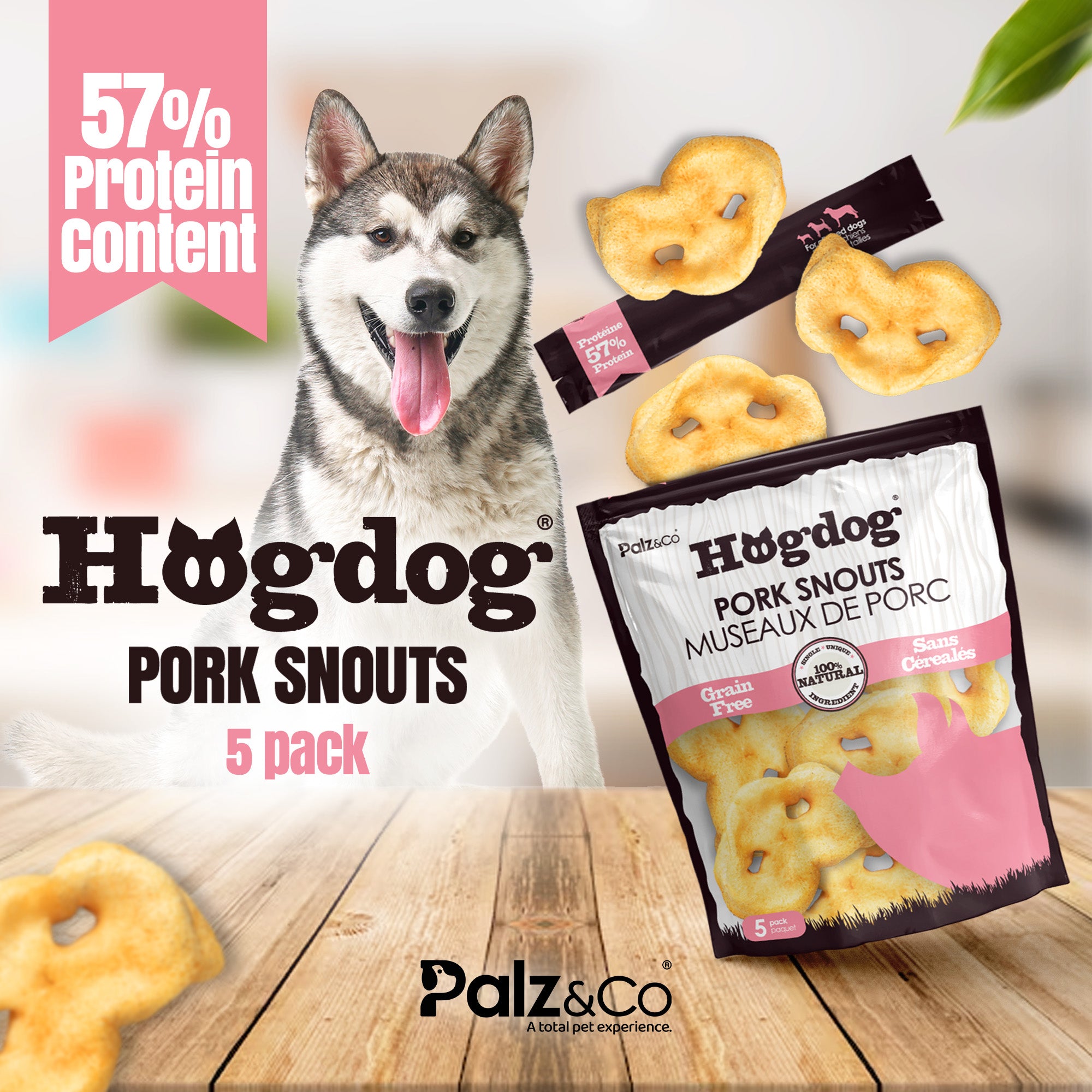 Hogdog Pork Snouts - Pack of 5