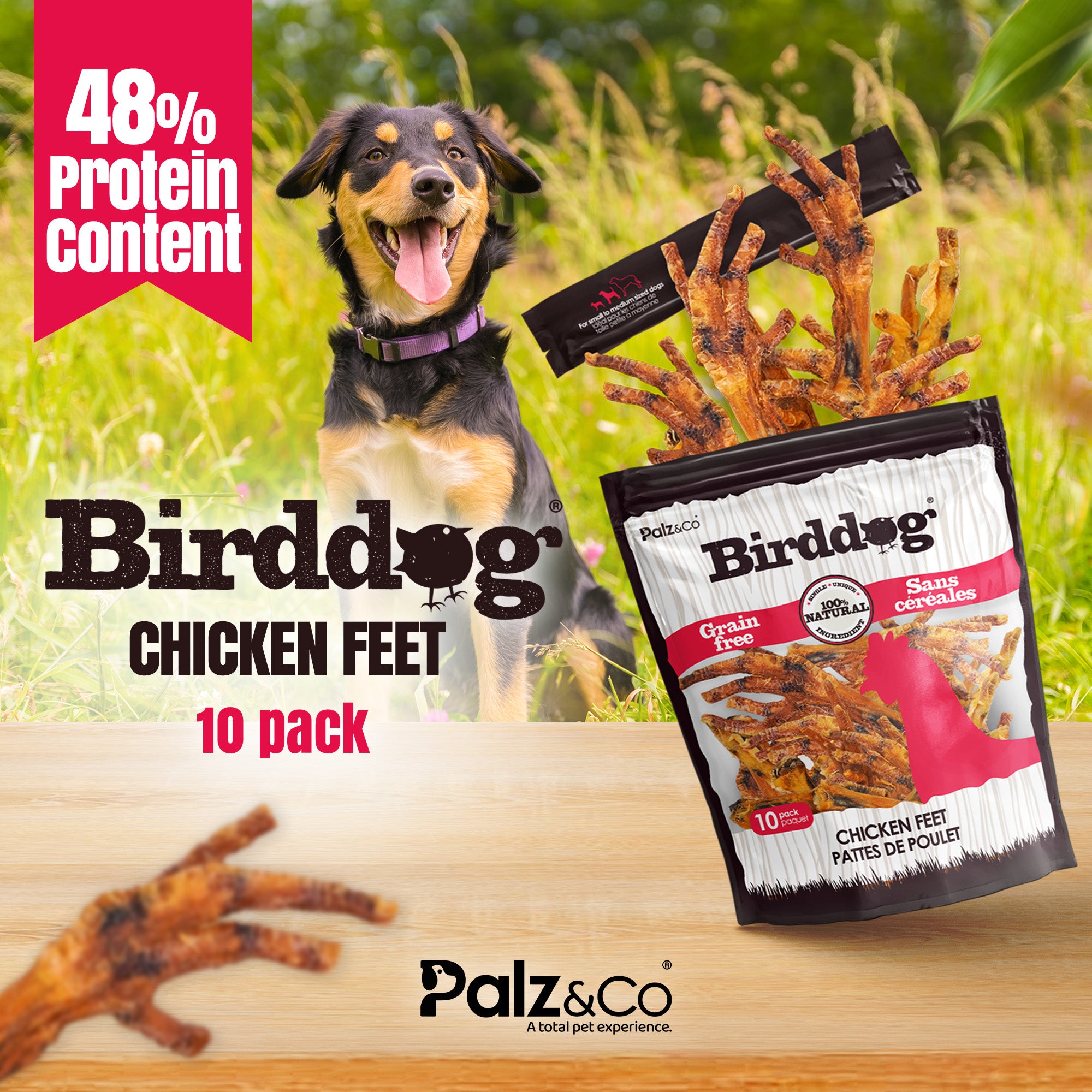 Birddog Chicken Feet Dog Treats - Pack of 10 & 35
