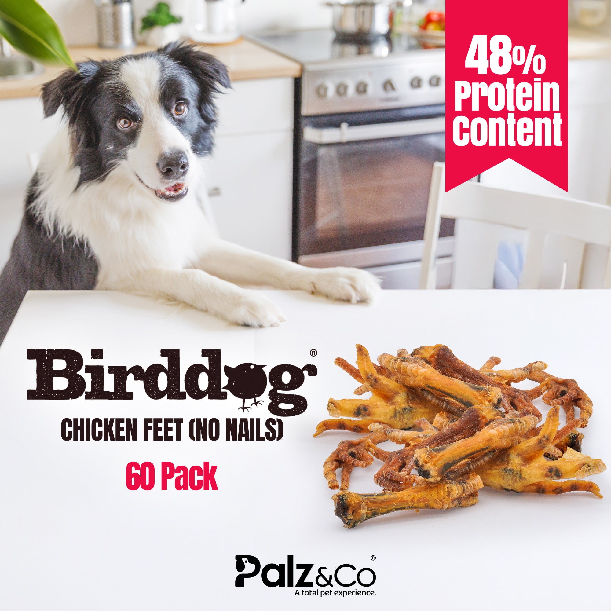 Birddog Chicken Feet (No Nails) - Pack of 60