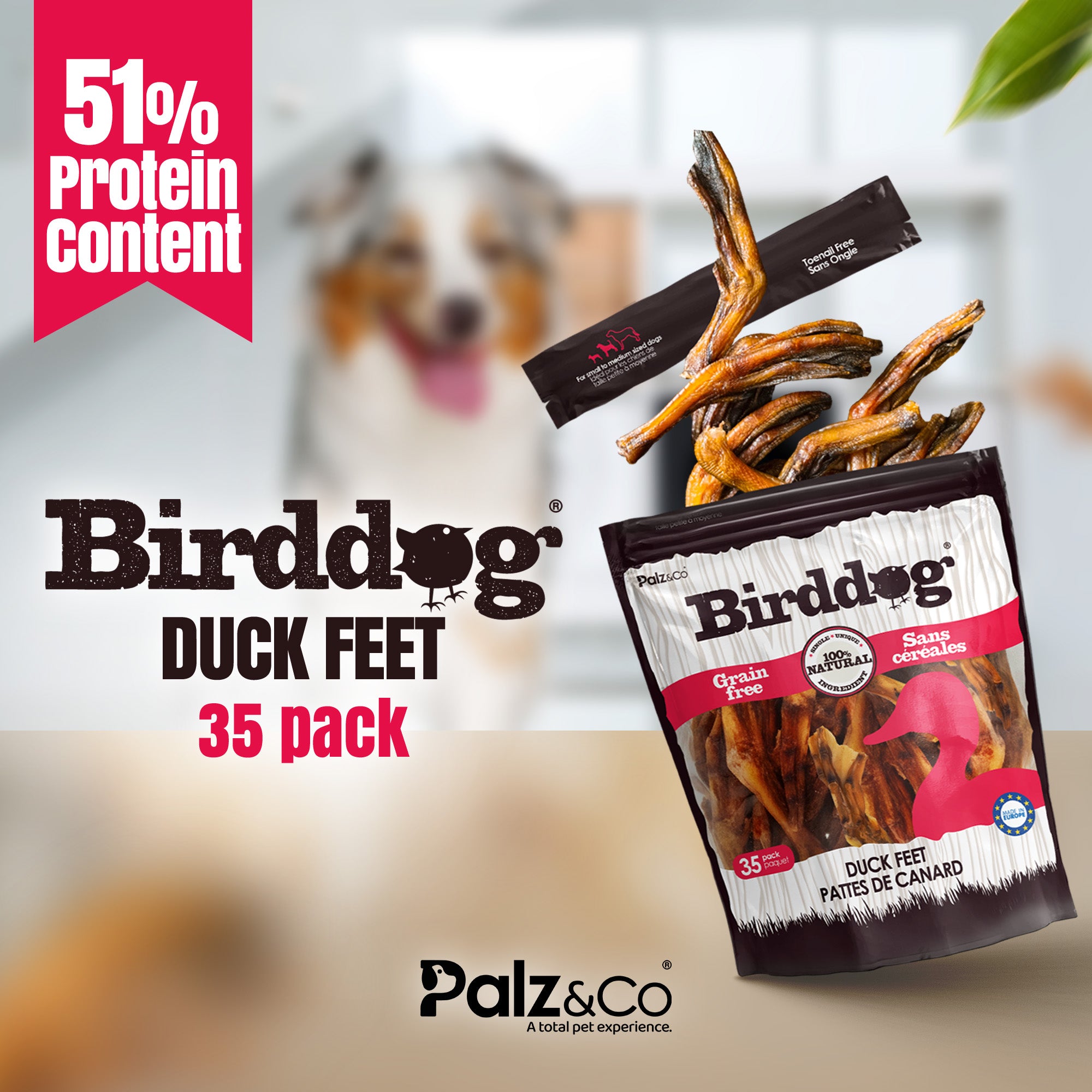 Birddog Duck Feet Chews (No Nails) - Pack of 10 & 35