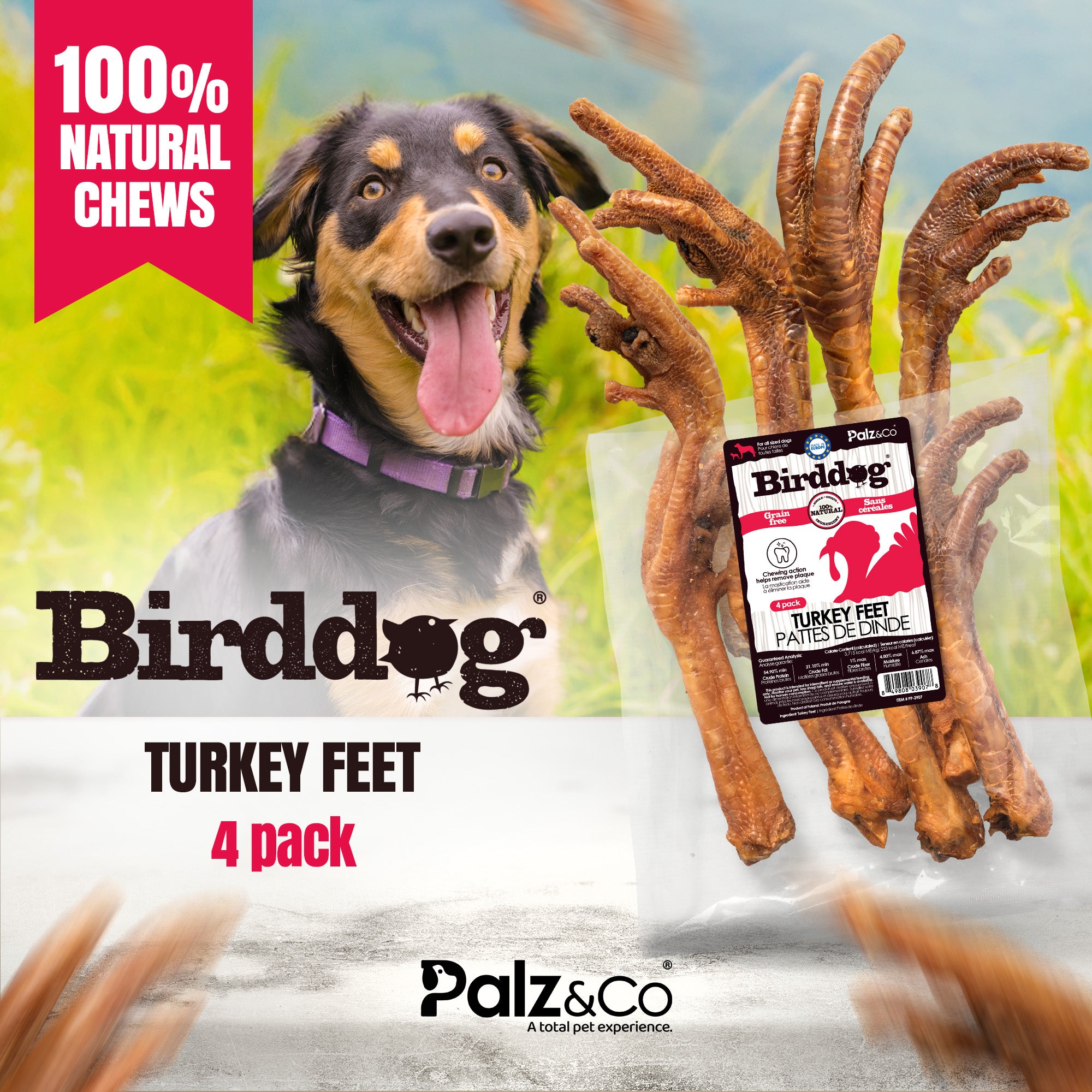 Birddog Turkey Feet - Pack of 4
