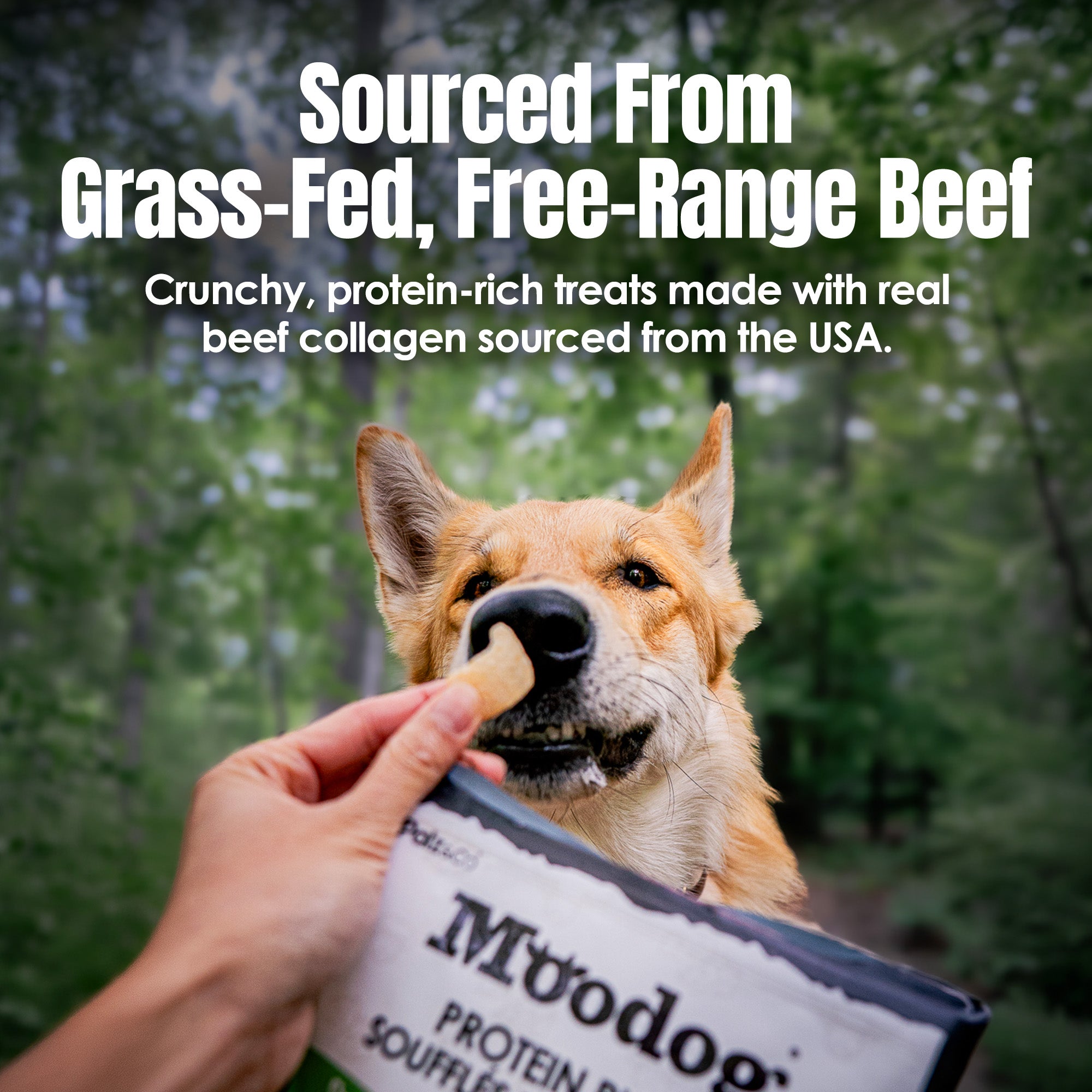 Moodog Beef Protein Puffs