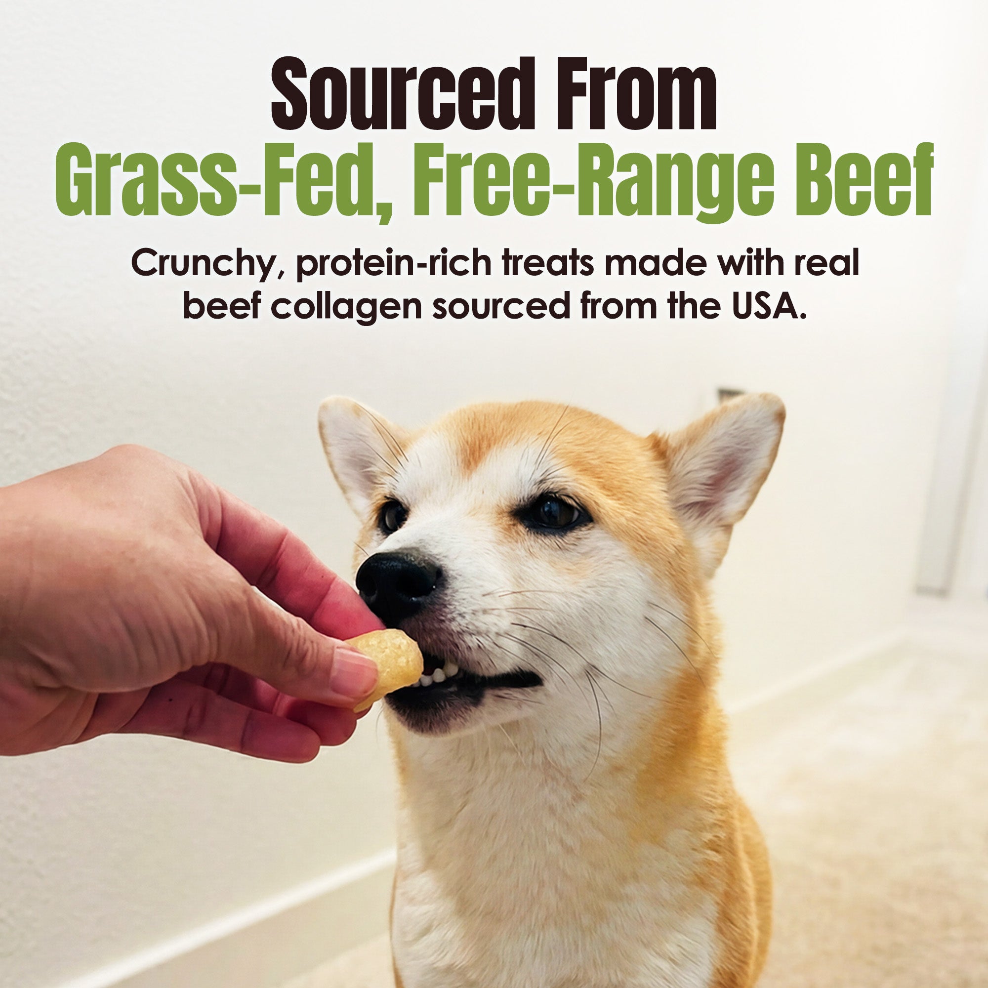 Moodog Beef Protein Puffs