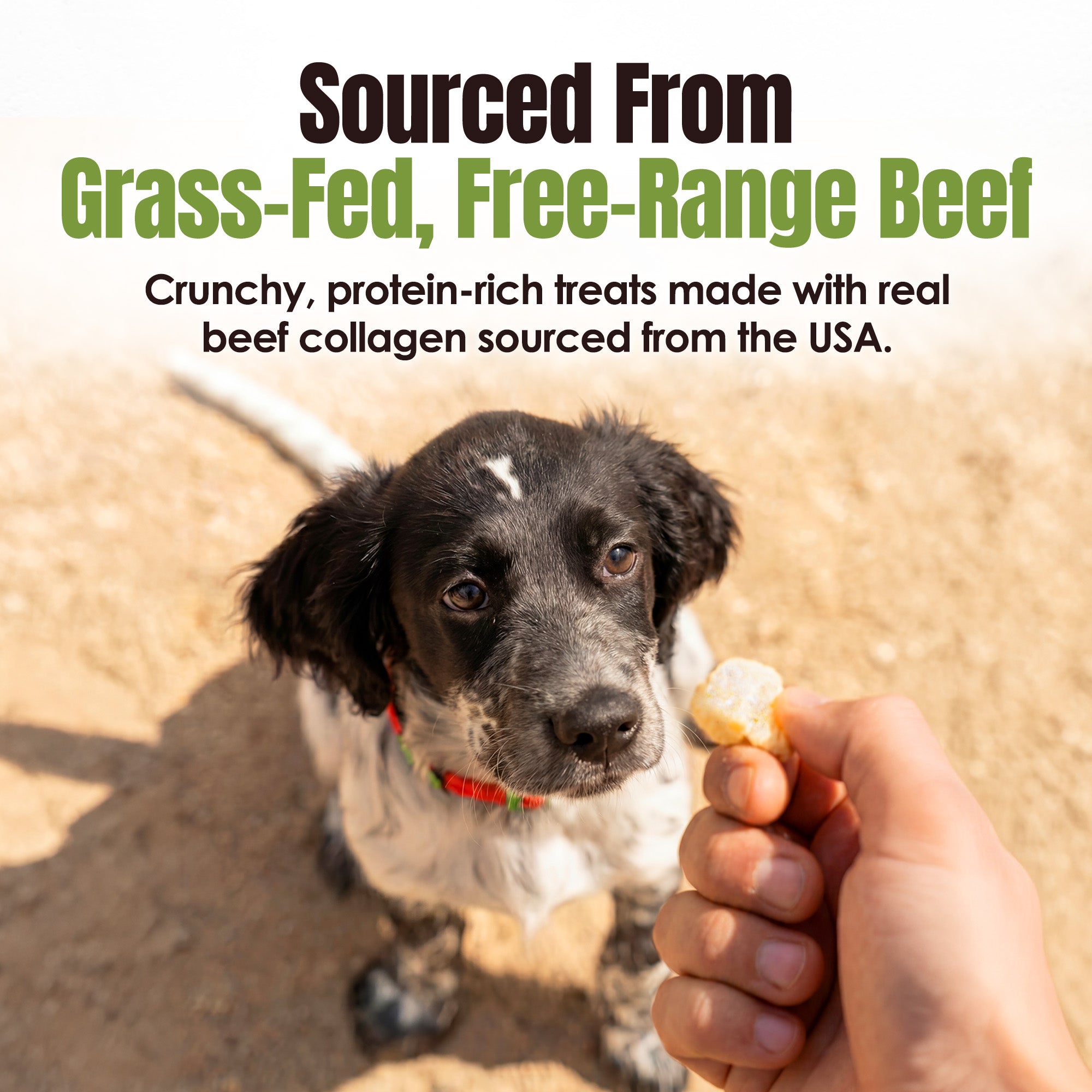 Moodog Beef Protein Puffs