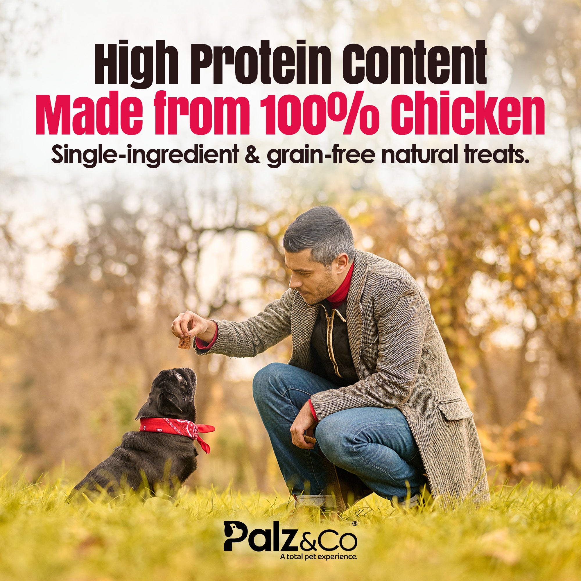 Birddog Chicken Bites Dog Treats, Grain-Free - 6 oz