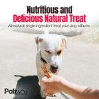 Birddog Chicken Feet (No Nails) - Pack of 60