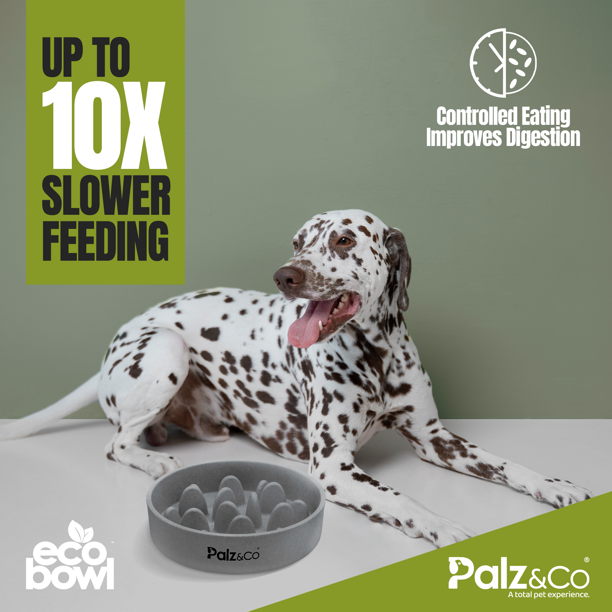 EcoBowl Slow Feeder Dog Bowls - 28oz & 48oz