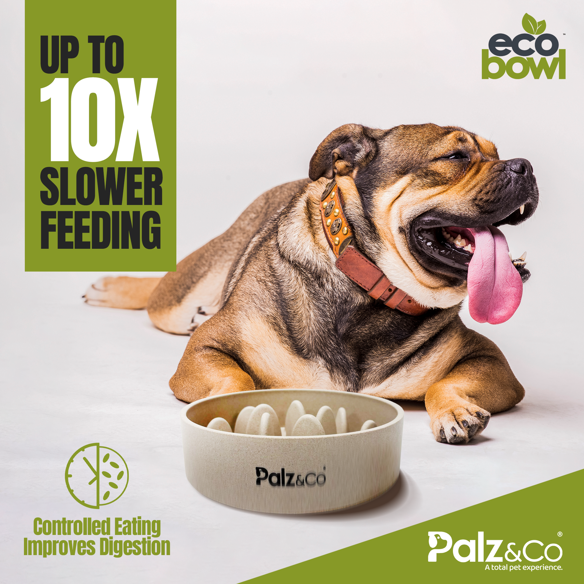 EcoBowl Slow Feeder Dog Bowls - 28oz & 48oz