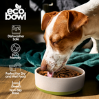 EcoBowls with Lid