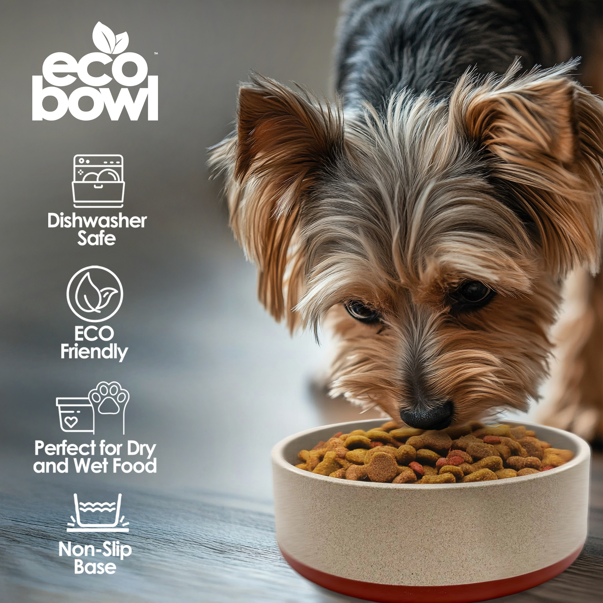EcoBowls with Lid