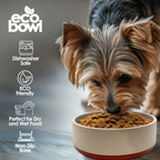 EcoBowls with Lid