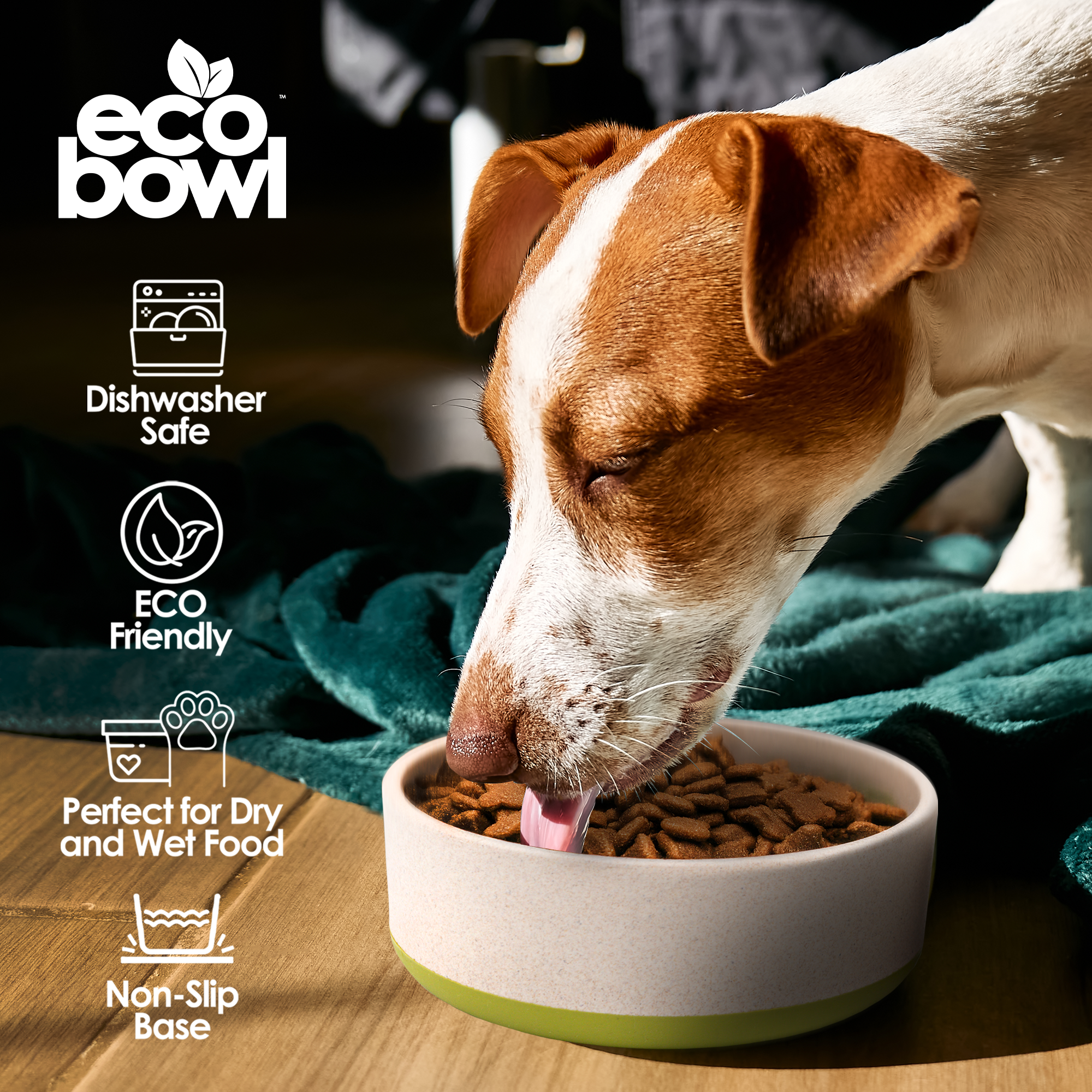 EcoBowls with Lid