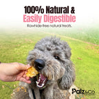 Hogdog Pig Nose Snouts - Pack of 40