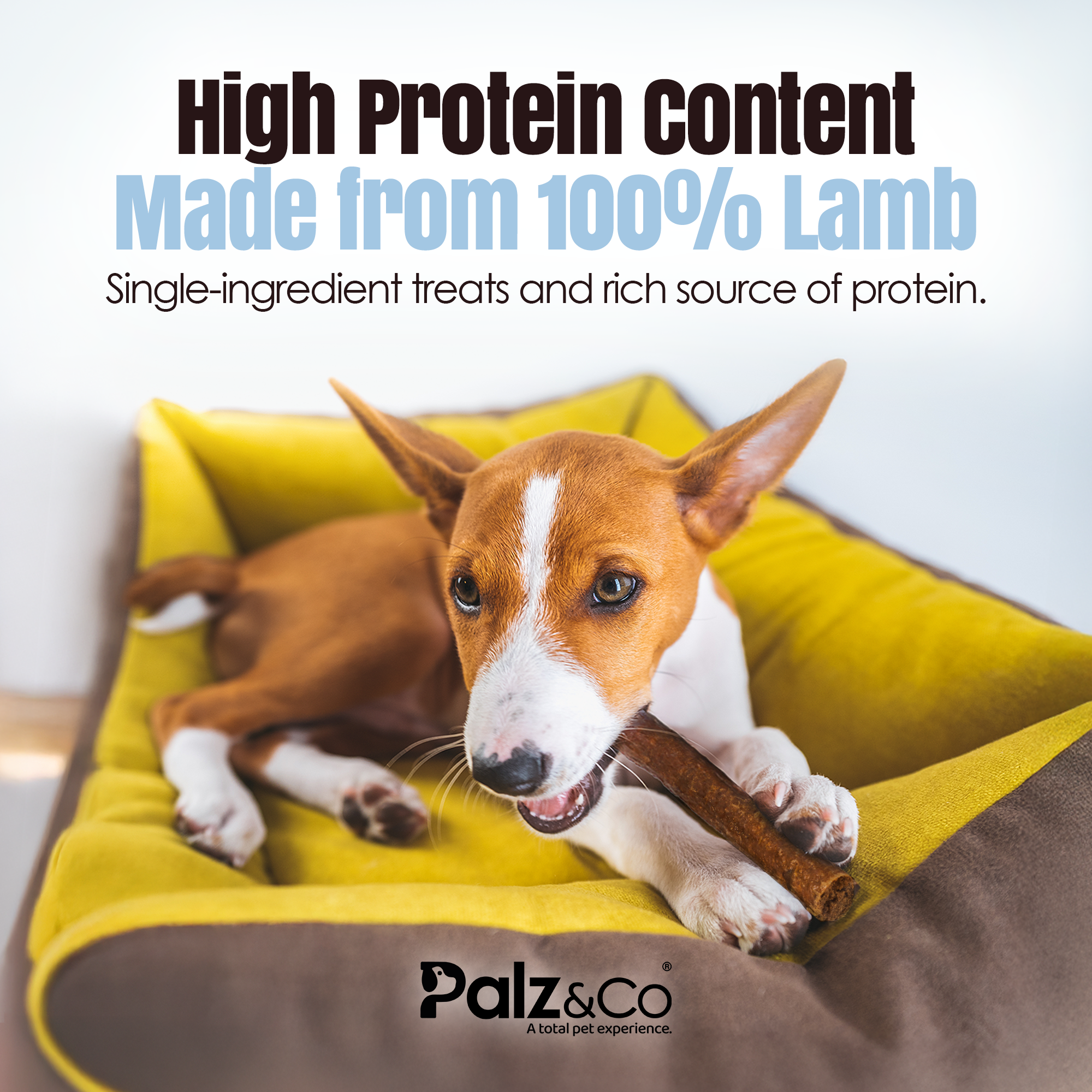 Lambdog Lamb Sausage Dog Treats - Pack of 8 & 20
