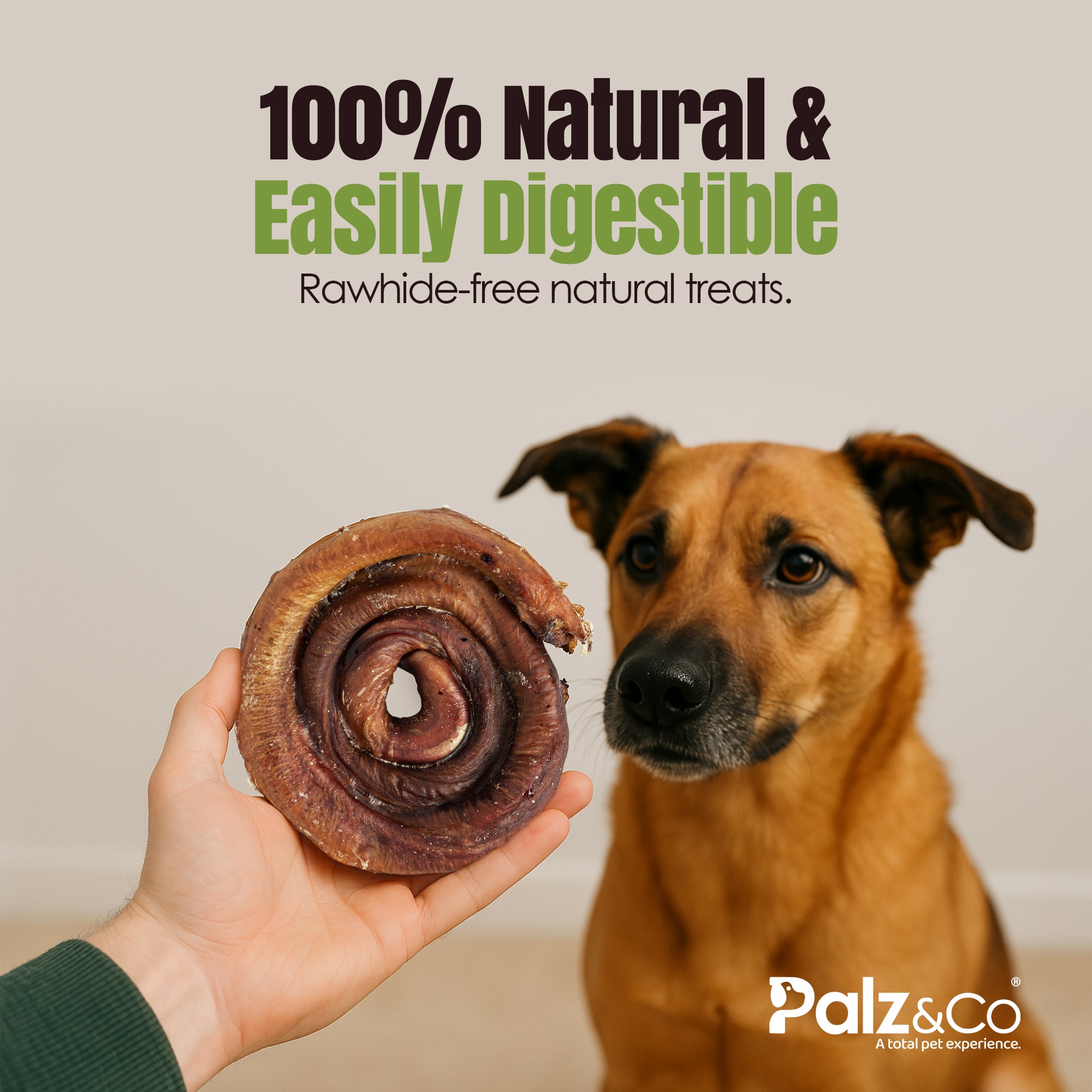 Moodog Beef Bully Bun Caps - Pack of 25