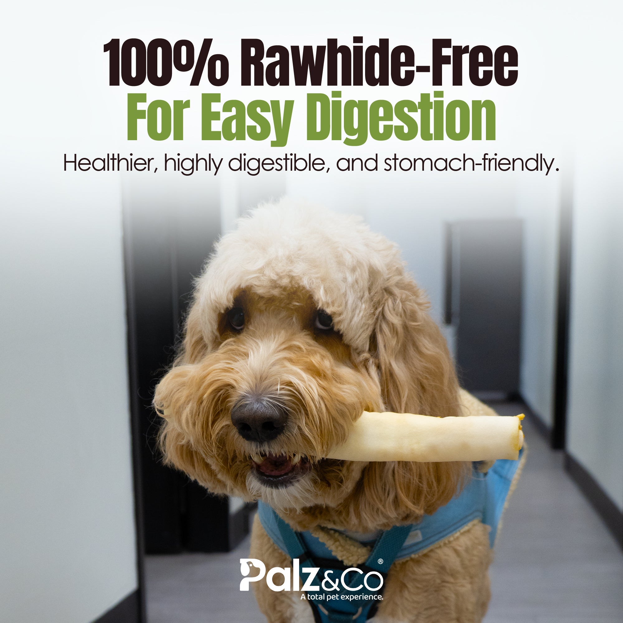Moodog Beef Corium Collagen Roll Dog Treats