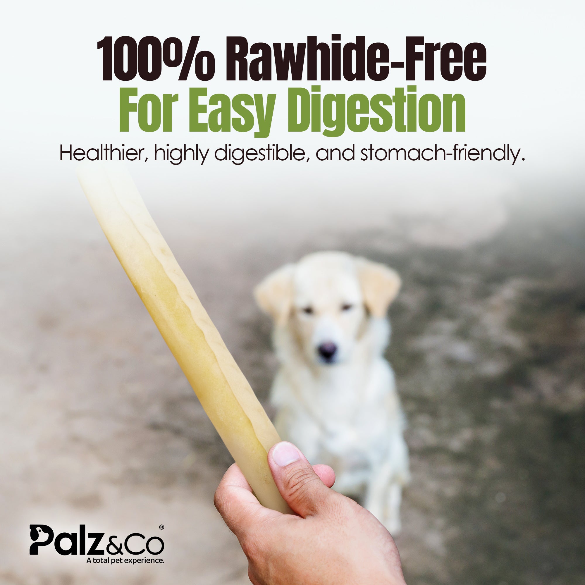 Moodog Beef Corium Collagen Roll Dog Treats
