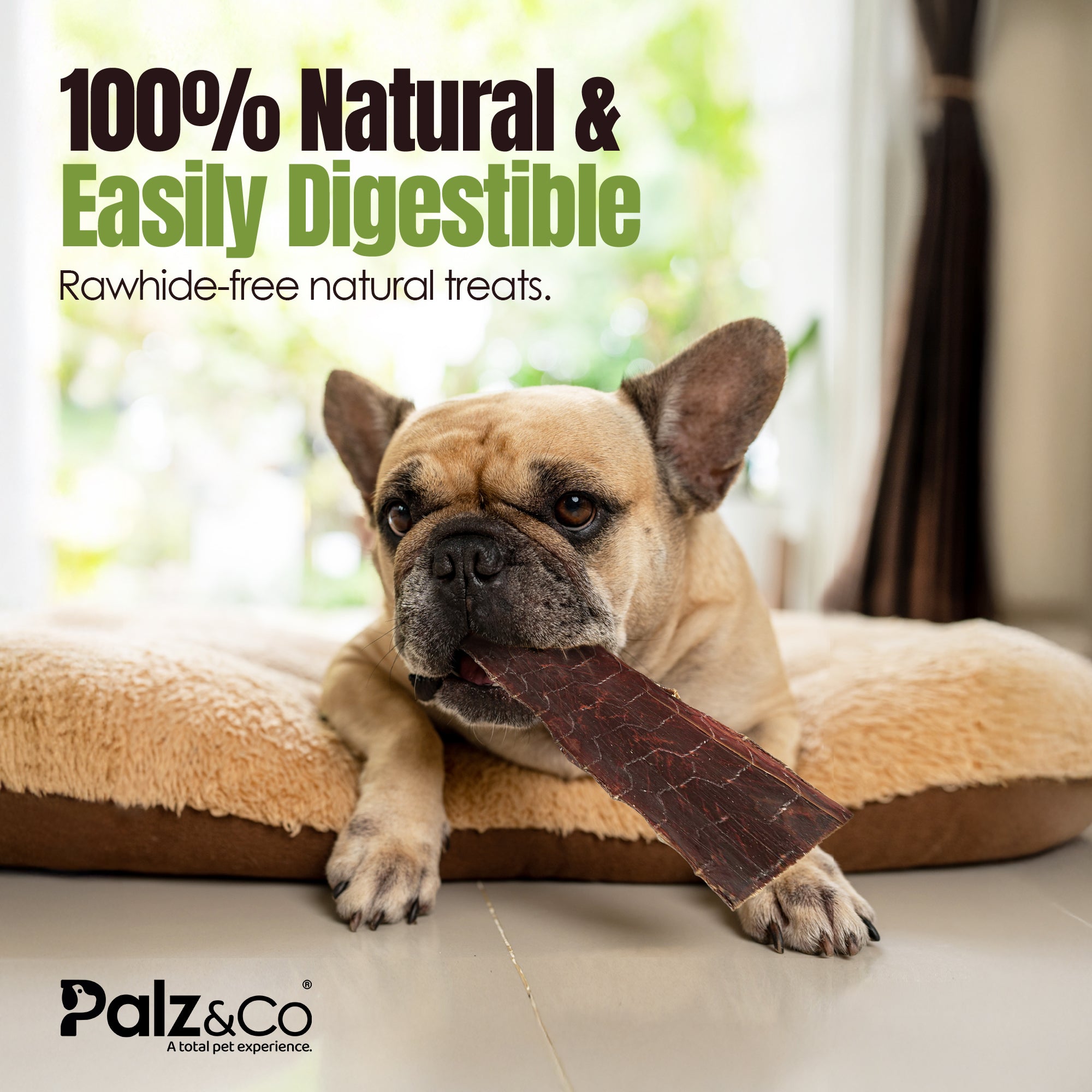 Moodog Flat Beef Gullet 8" - Pack of 5
